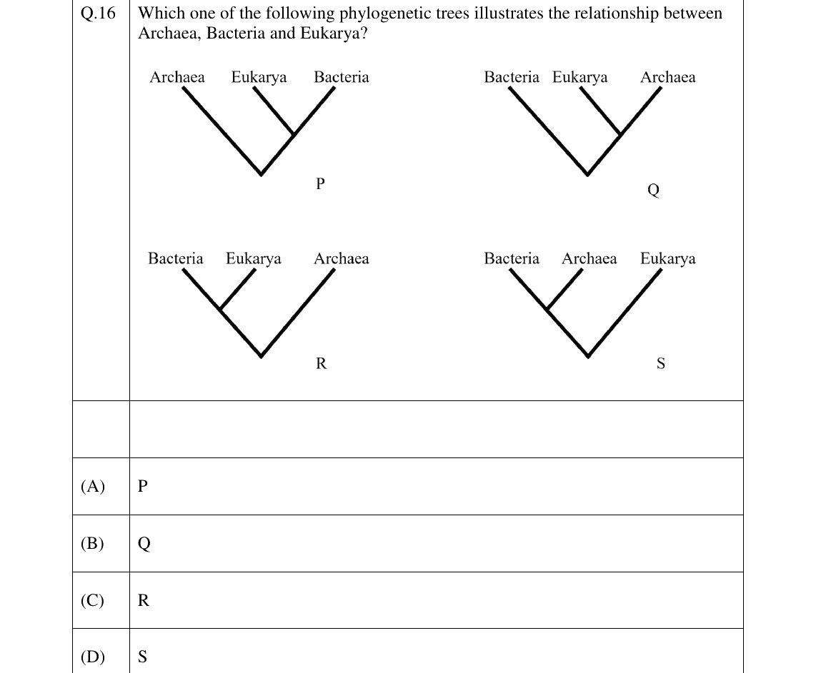 GATE 2026 EY question 16