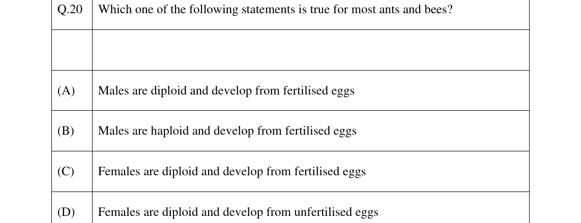 GATE 2026 EY question 20