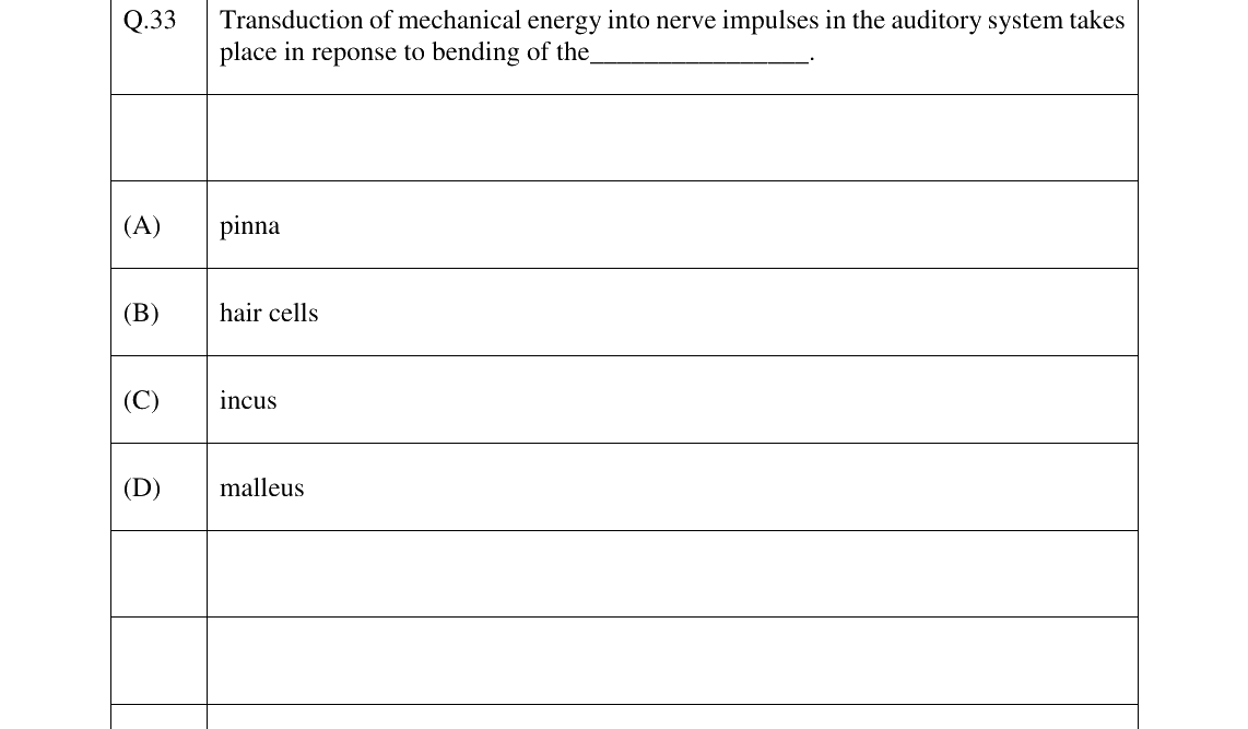 GATE 2023 XH-C5 question 33