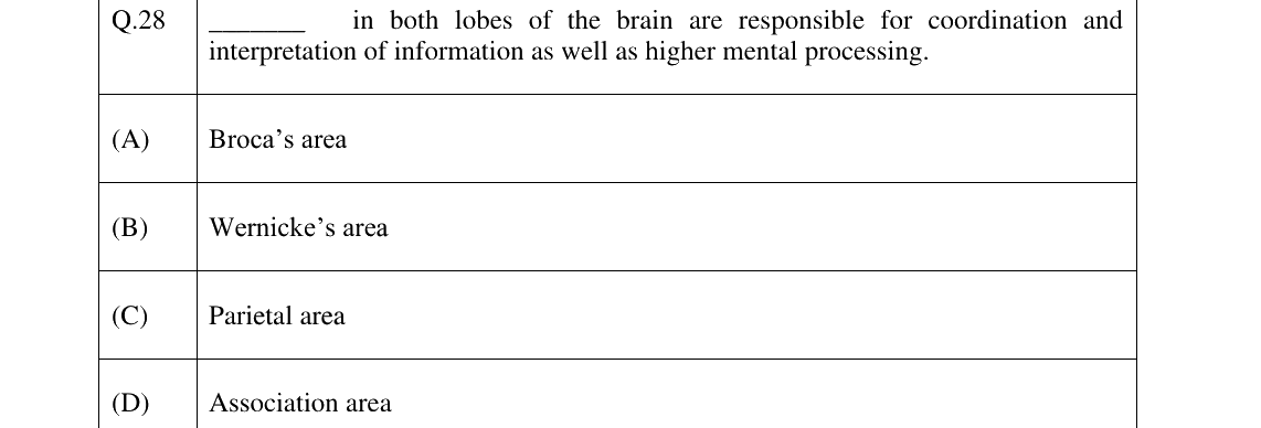 GATE 2025 XH-C5 question 28